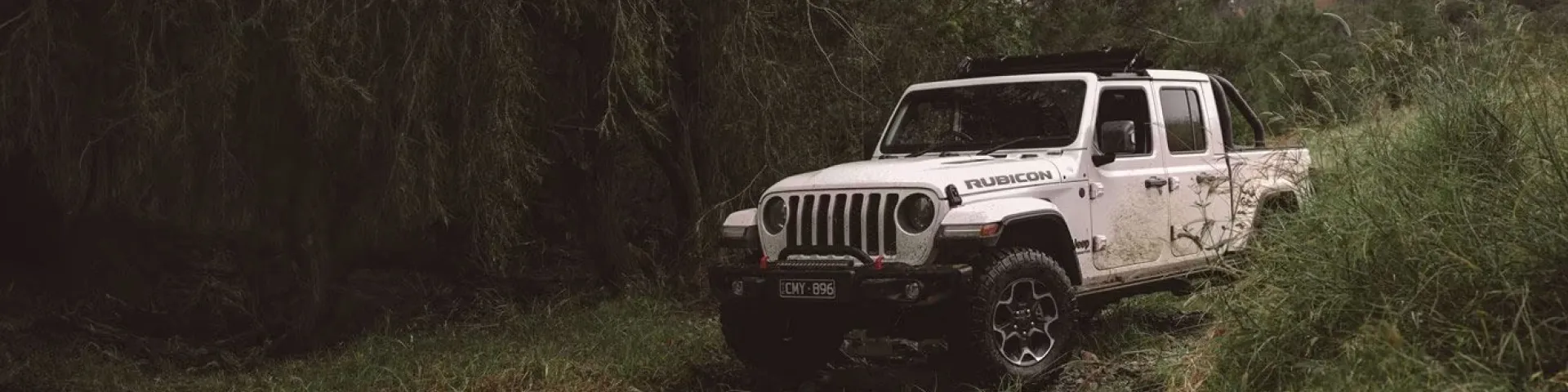 Newcar Banner